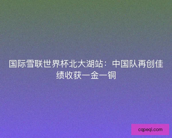国际雪联世界杯北大湖站：中国队再创佳绩收获一金一铜